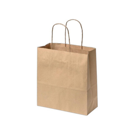 Brown Kraft Paper Bag 12x12