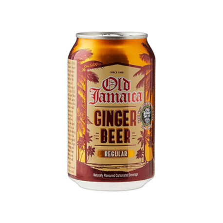 DG Ginger beer can 24 330ml
